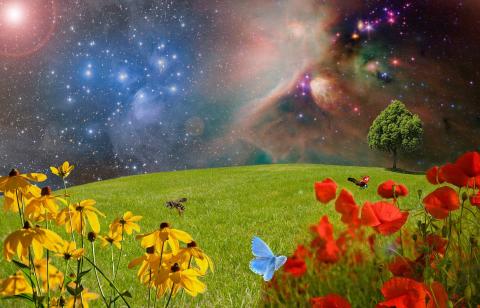 meadow-g39737185c_1920